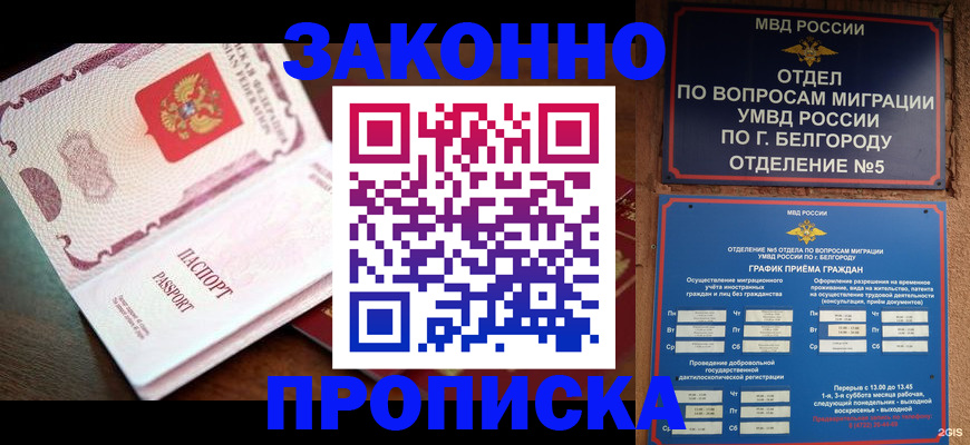 временная регистрация для школы в Кирсе